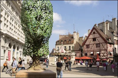 Je suis le chef-lieu de ma région, connu pour ma moutarde.