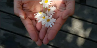 Bien _____ ____ ____ des difficult&eacute;s, elle n'a jamais laiss&eacute; ____.