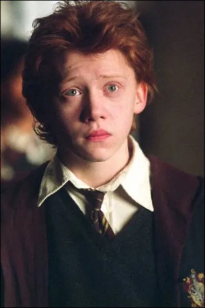 Dans le cours sur les loups-garous, à côté de qui Ron Weasley est-il assis ?