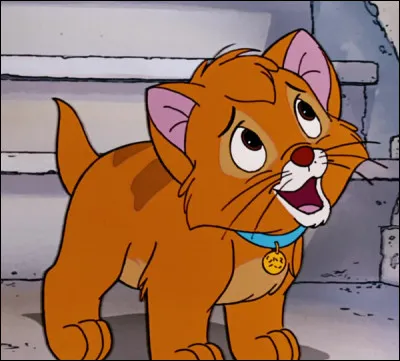 Vient du film : ___ & Compagnie :