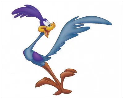 Qui est cet oiseau du film "___ ___ et Coyote" des Looney Tunes ?