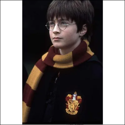 Quel professeur préfères-tu dans ''Harry Potter'' ?