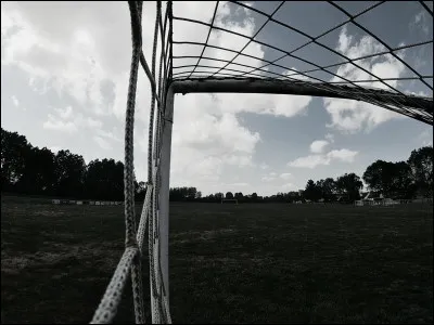 Sur le terrain, tu es l&agrave; pour :