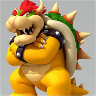 Quel est le monde où l'on combat Bowser ?