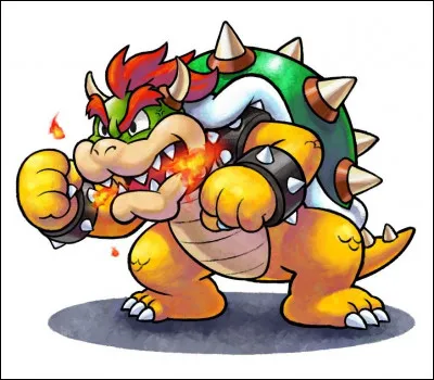 Comment était Bowser avant de se transformer ?