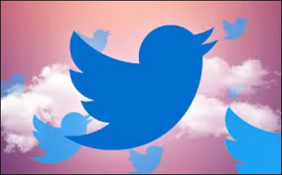 Sur Twitter, il est possible d'écrire jusqu'à 250 caractères.