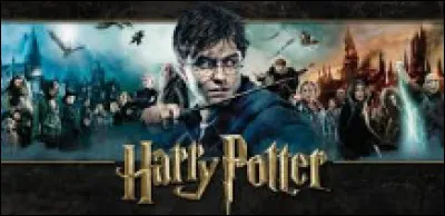 Aimes-tu Harry Potter' ?
