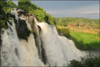 Histoire - La République centrafricaine a été colonisée par :