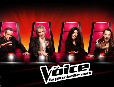 Quelle est la date de première diffusion de "The Voice" ?