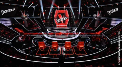 Quelle est l'étape que les participants doivent passer, après les auditions à l'aveugle ?