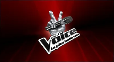 Qui a gagné la saison 7 de "The Voice" ?