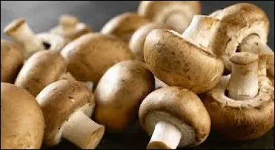 D'où les champignons de Paris sont-ils originaires ?