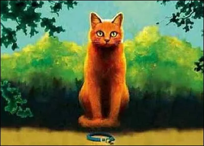 Quel chat lui enlève son collier ?