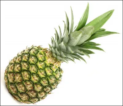 Comment dit-on "ananas" en anglais ?
