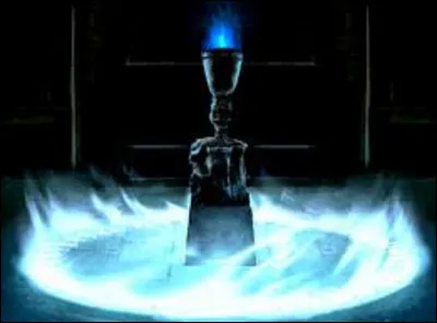 Dans quelle saga est-il question de ''La Coupe de feu'' ?