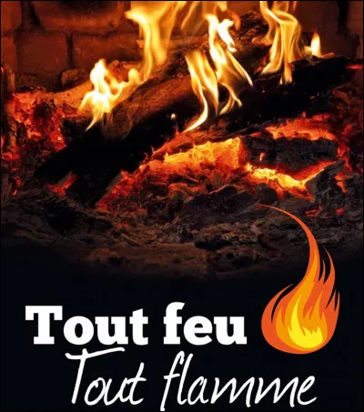 Quelle actrice tient un des rôles principaux aux cotés d'Yves Montand dans le film ''Tout feu, tout flamme'' de Jean-Paul Rappeneau ?