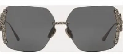 Ces lunettes sont...