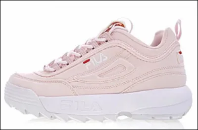 Quelle est la marque de cette chaussure ?