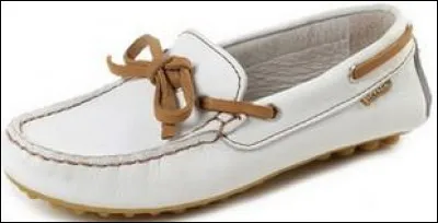 Quelle est la marque de cette chaussure ?