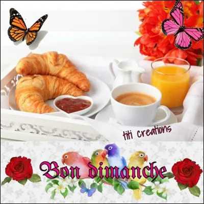 Le dimanche matin, tu es plus :