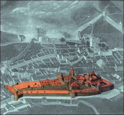 Pourquoi y avait-il une taverne « à pain et à vin » dans l'enceinte de la saline ?