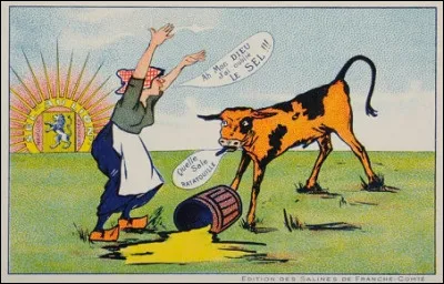 Sous quelle marque était vendu le sel de Salins ?