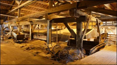 La poêle à sel de la Grande Saline est d'une grande valeur car...