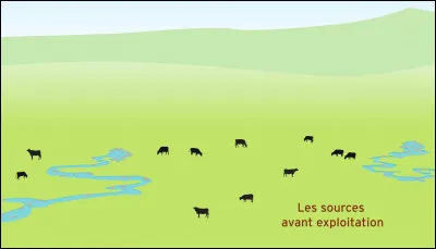 Selon la légende, les sources salées de Salins ont été découvertes par...