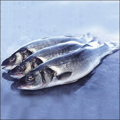 Comment s'appellent ces poissons ?