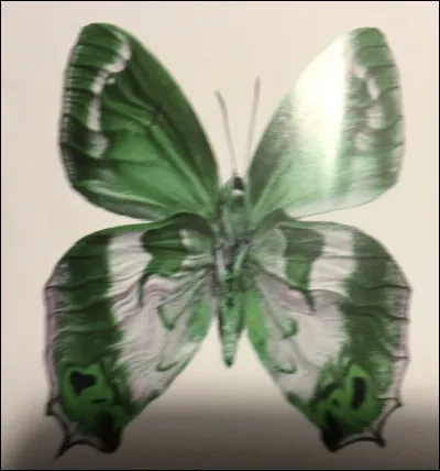 Comment s'appelle cet animal ?