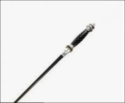 À qui appartient cette baguette ?