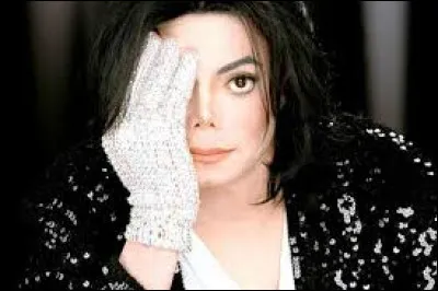 Quel personnage principal de fiction Michael aurait-il pu interpréter dans un film ?