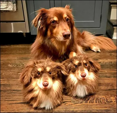 Et sur celle-ci, on peut voir ...