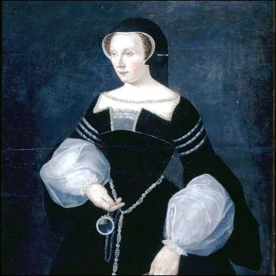 Quel château Henri II fit-il construire pour sa favorite Diane Poitiers ?