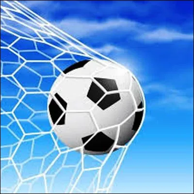 Quel footballeur détient le record du nombre de buts marqués sur une année civile ?