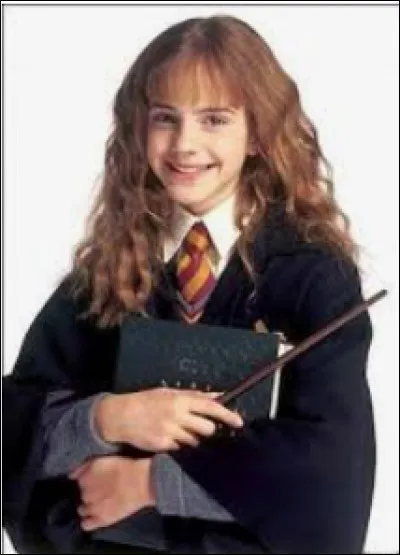 Quel Horcruxe Hermione a-t-elle détruit ?