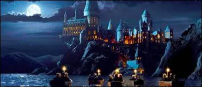 Quelle est ta maison dans Harry Potter ?