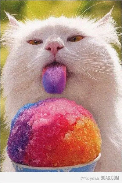 Si vous avez un compagnon ou une compagne, vous êtes condamné au bannissement.