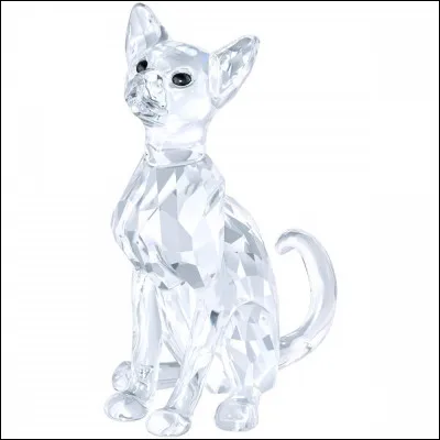 Commençons. A-t-on le droit d'avoir un compagnon ou une compagne ?