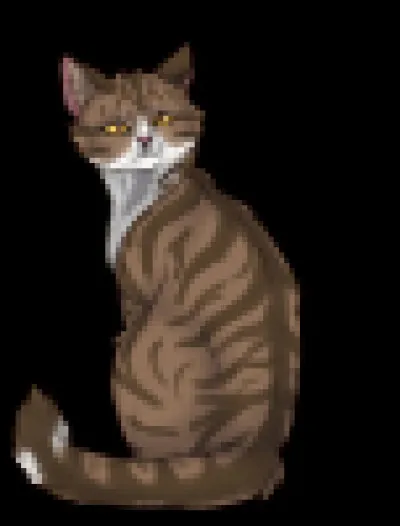 Les mâles et les femelles dorment ensemble.