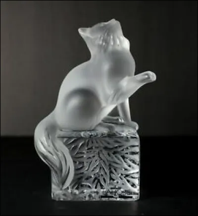 Les femelles mangent avant les mâles.