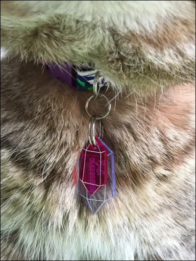 Tous les membres du clan doivent porter un collier composé d'un cristal.