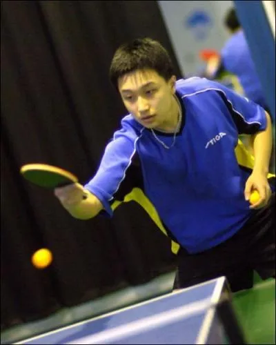 Comment s'appelle un joueur de tennis de table ?