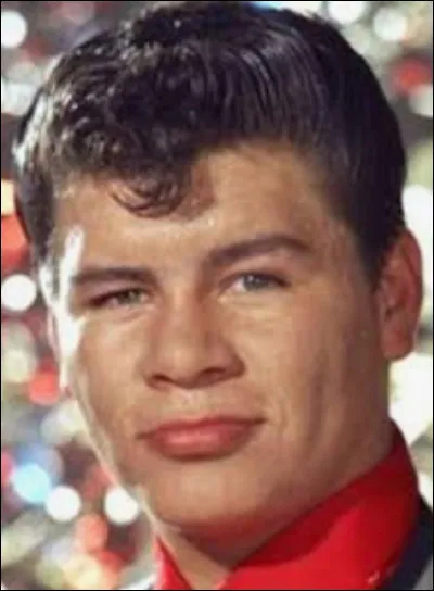 Richie Valens a chant&eacute; ''La Bamba'' et c'est aussi le titre d'un film qui raconte sa vie. Qui l'a incarn&eacute; dans ce long m&eacute;trage ?