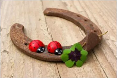 Trouves-tu que tu as de la chance ?