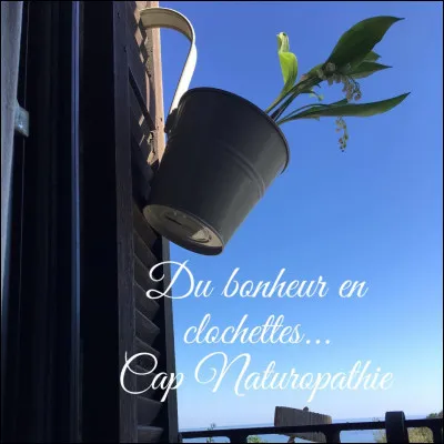 Le muguet est toxique pour...