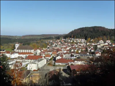 Petite ville de 4 300 habitants du département du Doubs, située à 800 mètres d'altitude sur un petit plateau du massif du Jura :