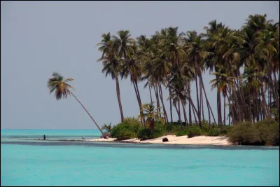 Quelle mer du nord-ouest de l'océan Indien, baigne la côte de Malabar et la côte occidentale du Sri Lanka ?
