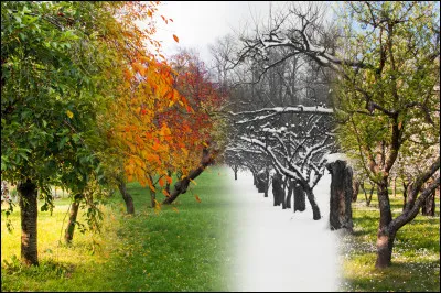 Quelle est ta saison préférée ?