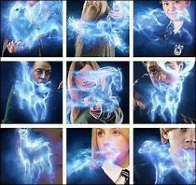 Logiquement, penses-tu avoir un Patronus qui te convienne ?